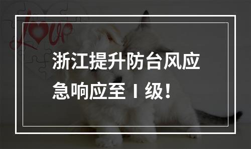 浙江提升防台风应急响应至Ⅰ级！