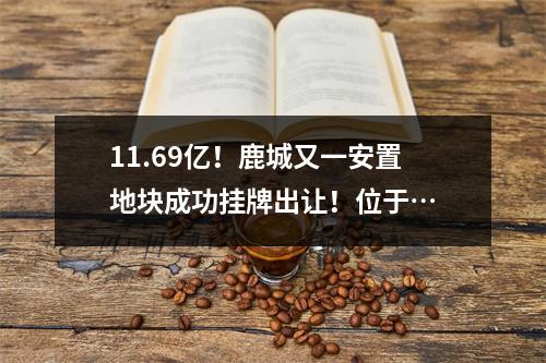 11.69亿！鹿城又一安置地块成功挂牌出让！位于…