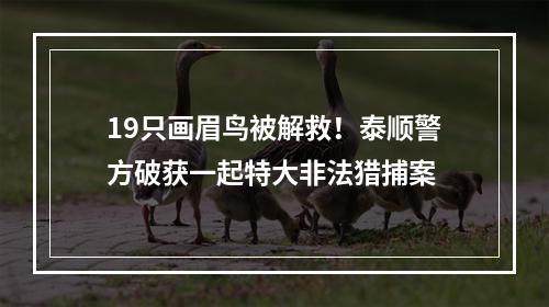 19只画眉鸟被解救！泰顺警方破获一起特大非法猎捕案