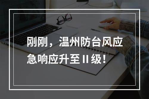 刚刚，温州防台风应急响应升至Ⅱ级！
