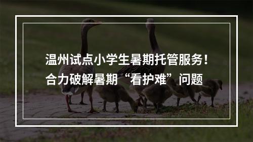 温州试点小学生暑期托管服务！合力破解暑期“看护难”问题