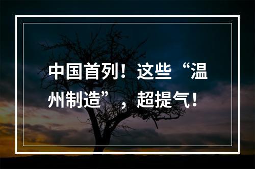 中国首列！这些“温州制造”，超提气！