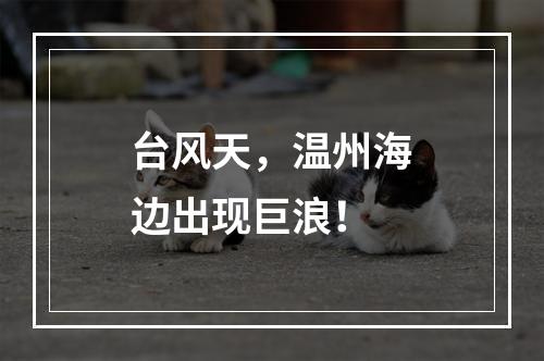 台风天，温州海边出现巨浪！