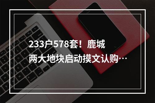 233户578套！鹿城两大地块启动摸文认购…