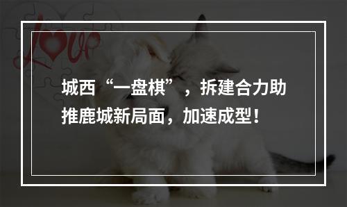 城西“一盘棋”，拆建合力助推鹿城新局面，加速成型！