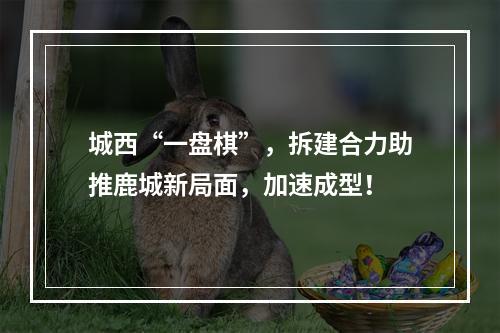 城西“一盘棋”，拆建合力助推鹿城新局面，加速成型！