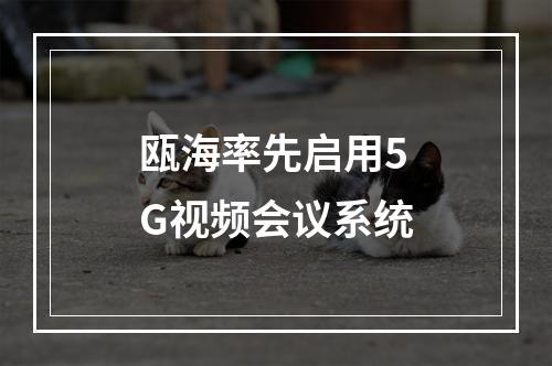 瓯海率先启用5G视频会议系统