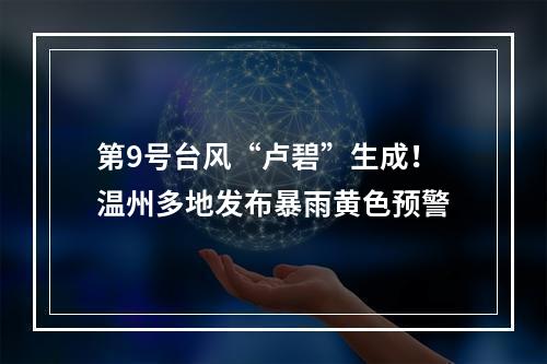 第9号台风“卢碧”生成！温州多地发布暴雨黄色预警