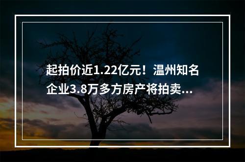 起拍价近1.22亿元！温州知名企业3.8万多方房产将拍卖！