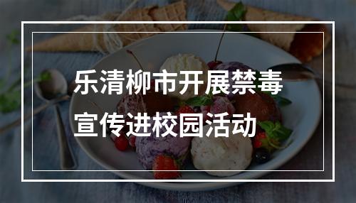乐清柳市开展禁毒宣传进校园活动