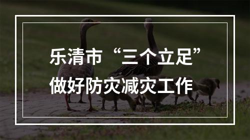 乐清市“三个立足”做好防灾减灾工作