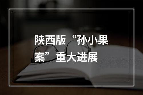陕西版“孙小果案”重大进展