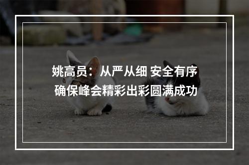 姚高员：从严从细 安全有序 确保峰会精彩出彩圆满成功