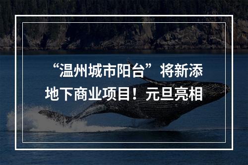 “温州城市阳台”将新添地下商业项目！元旦亮相