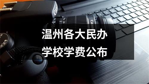 温州各大民办学校学费公布