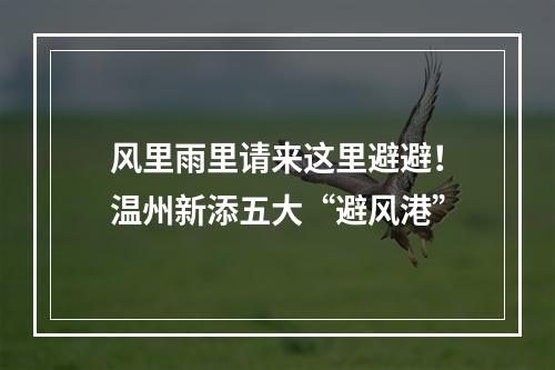 风里雨里请来这里避避！温州新添五大“避风港”