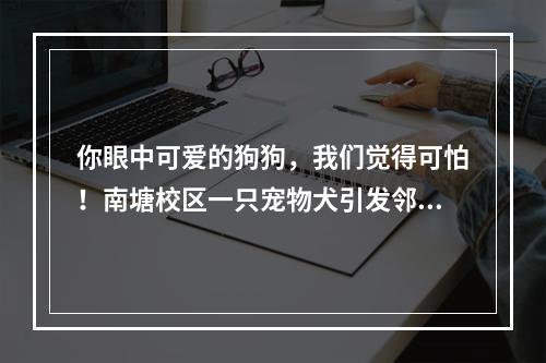 你眼中可爱的狗狗，我们觉得可怕！南塘校区一只宠物犬引发邻里冲突