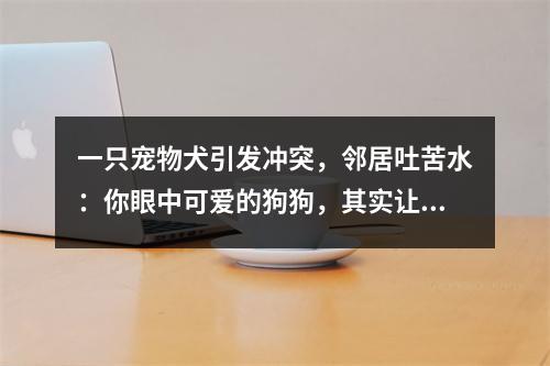 一只宠物犬引发冲突，邻居吐苦水：你眼中可爱的狗狗，其实让人害怕