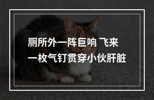 厕所外一阵巨响 飞来一枚气钉贯穿小伙肝脏