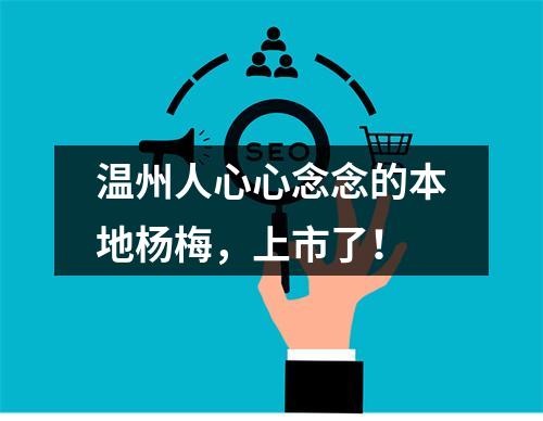 温州人心心念念的本地杨梅，上市了！