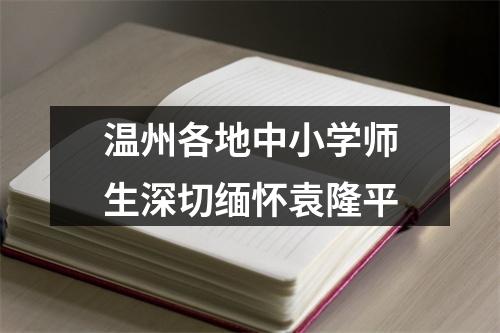 温州各地中小学师生深切缅怀袁隆平