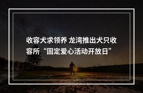 收容犬求领养 龙湾推出犬只收容所“固定爱心活动开放日”