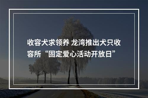 收容犬求领养 龙湾推出犬只收容所“固定爱心活动开放日”