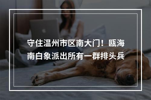 守住温州市区南大门！瓯海南白象派出所有一群排头兵