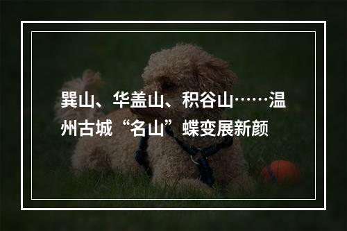 巽山、华盖山、积谷山……温州古城“名山”蝶变展新颜