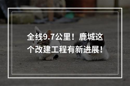 全线9.7公里！鹿城这个改建工程有新进展！