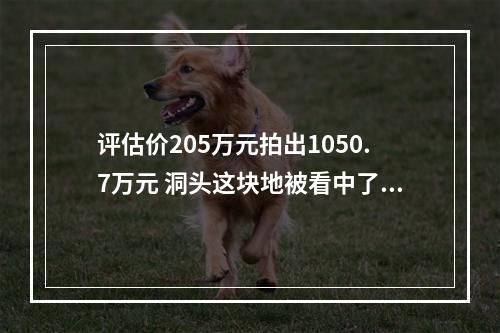 评估价205万元拍出1050.7万元 洞头这块地被看中了啥