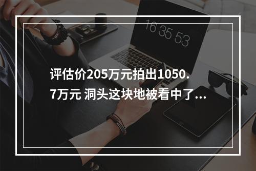 评估价205万元拍出1050.7万元 洞头这块地被看中了啥