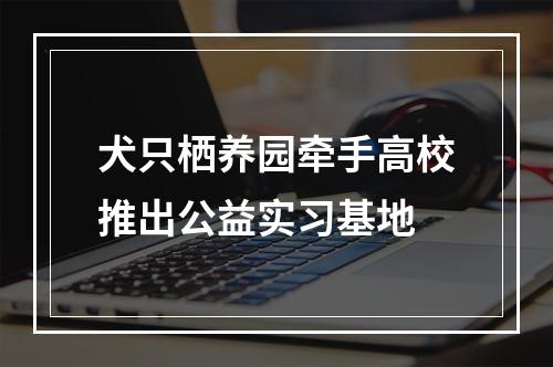 犬只栖养园牵手高校推出公益实习基地