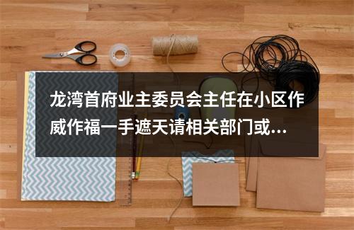 龙湾首府业主委员会主任在小区作威作福一手遮天请相关部门或纪委严查