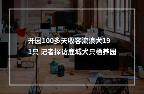 开园100多天收容流浪犬191只 记者探访鹿城犬只栖养园