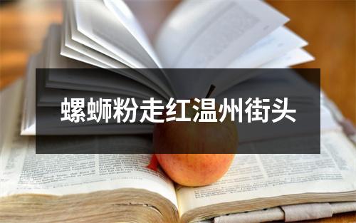 螺蛳粉走红温州街头