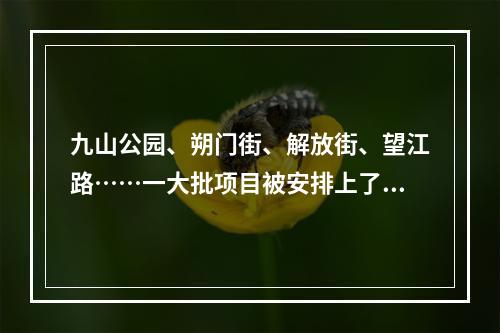 九山公园、朔门街、解放街、望江路……一大批项目被安排上了，看看哪些与你有关
