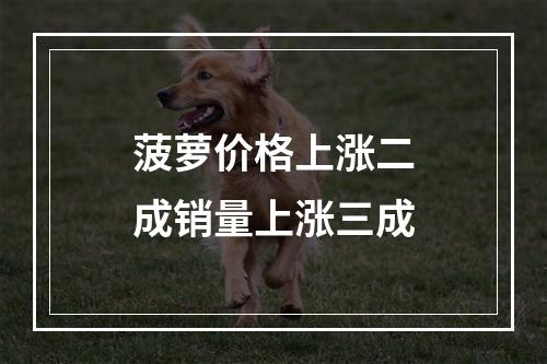 菠萝价格上涨二成销量上涨三成