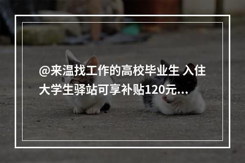 @来温找工作的高校毕业生 入住大学生驿站可享补贴120元/天