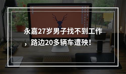 永嘉27岁男子找不到工作，路边20多辆车遭殃！