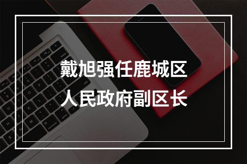 戴旭强任鹿城区人民政府副区长