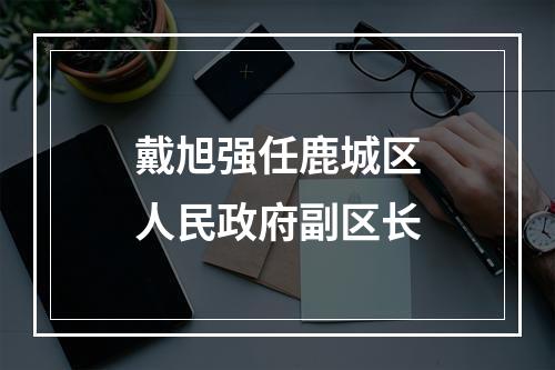 戴旭强任鹿城区人民政府副区长