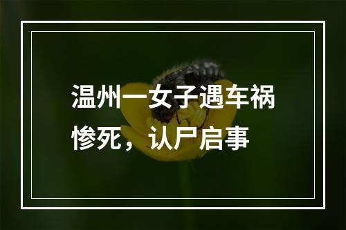 温州一女子遇车祸惨死，认尸启事