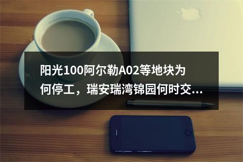 阳光100阿尔勒A02等地块为何停工，瑞安瑞湾锦园何时交付？回应来了