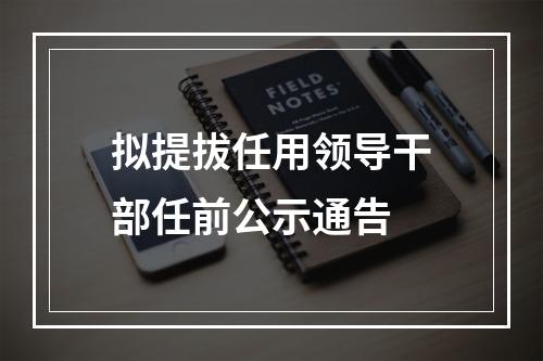 拟提拔任用领导干部任前公示通告
