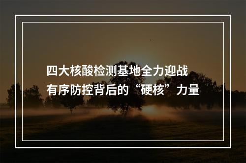 四大核酸检测基地全力迎战 有序防控背后的“硬核”力量