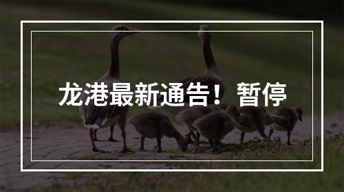 龙港最新通告！暂停