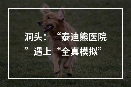 洞头：“泰迪熊医院”遇上“全真模拟”