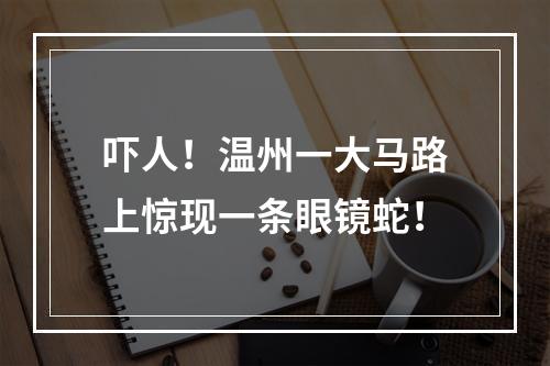 吓人！温州一大马路上惊现一条眼镜蛇！