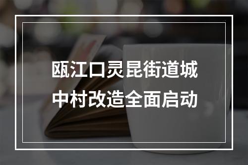 瓯江口灵昆街道城中村改造全面启动